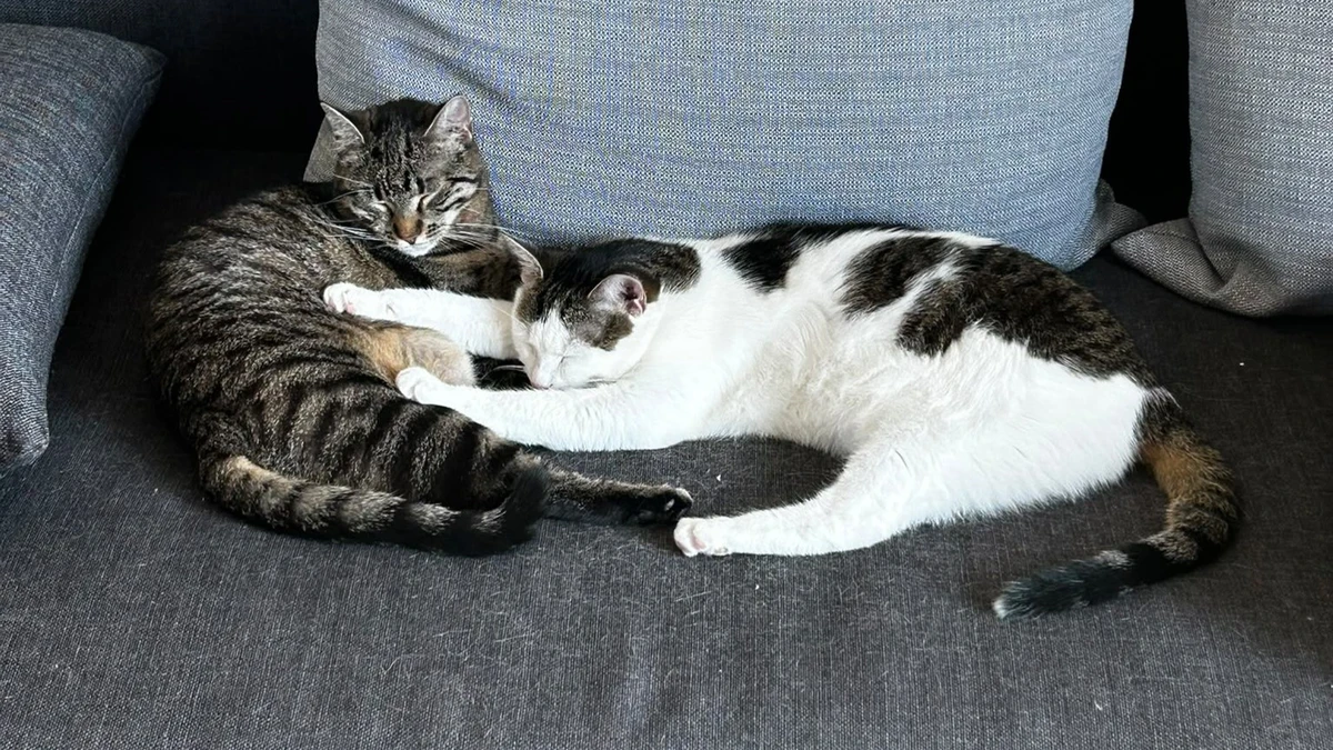 Lilly & Julie