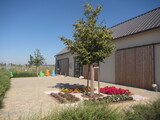Sonnehof
