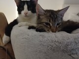 Chewy und Tom
