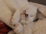 Elliot & Tsuki