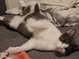 Elliot & Tsuki