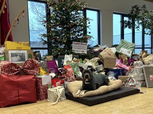 Sonnentier "Arthos" vor einem Berg von Weihnachtsgeschenken