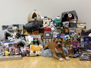 Sonnentier Luna vor Spenden aus dem Dehner Gartencenter Neunkirchen