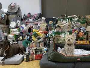 Sonnentiere Sheila und Ivy vor einem Berg an Spenden