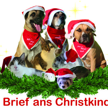 Logo Brief ans Christkind - Wunschzettelaktion der Sonnentiere