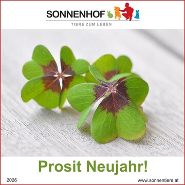 Zwei Kleeblätter auf einem Tisch