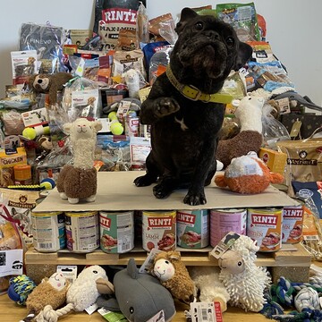 Buddy vor einem Berg an Spenden