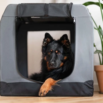 Hund liegt in einer Hundebox